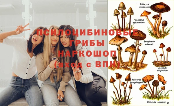 каннабис Абинск