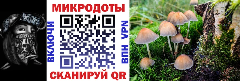 ссылка на мегу вход  Кострома  Галлюциногенные грибы Cubensis 
