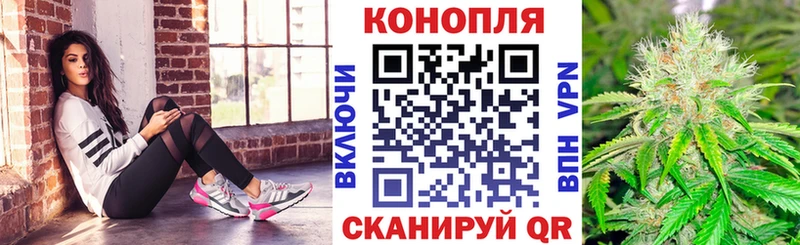 купить наркоту  Кострома  Канабис семена 